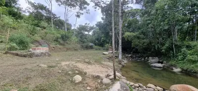 a river in the middle of a field with trees at La Morada Del Gavilucho in San Carlos