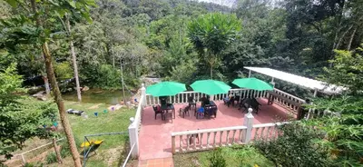 a patio with tables and green umbrellas at La Morada Del Gavilucho in San Carlos