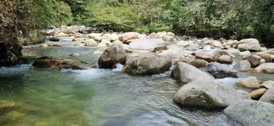 a rocky river with rocks and trees in the background at La Morada Del Gavilucho in San Carlos