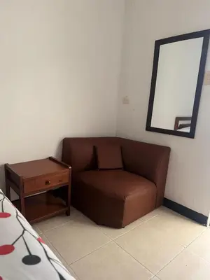 a brown couch in a room with a mirror and a table at Hotel Café de la Montaña in Pensilvania