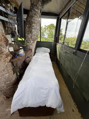 a bedroom with two beds in a room with a tree at Finca turística Villa Carolina in Sabaletas