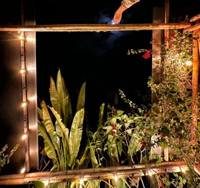 a window with a bunch of plants and lights at Mamaquilla Grupal Glamping in Jardin