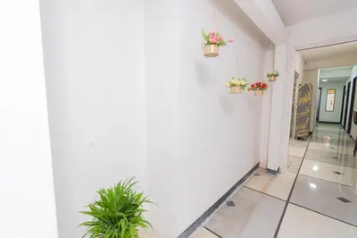 a hallway with potted plants on the wall at Hostal Bendito, central y cómodo in Medellín
