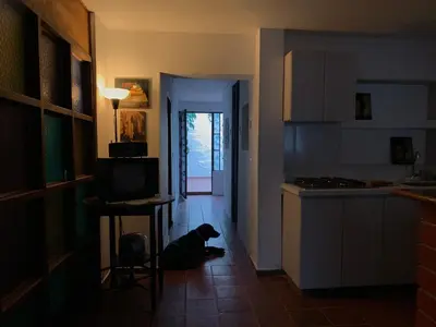 a dog sitting on the floor in a kitchen at El Solar Hostel - Comuna 13, graffitour in Medellín