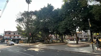 a city street with trees on the side of the road at Apartamento Simón Bolívar in Itagüí