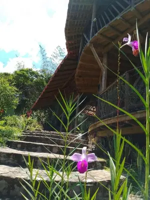 a house with some purple flowers in front of it at Shiva's Temple in San Carlos