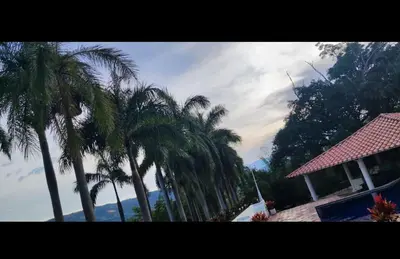 a group of palm trees in front of a house at Casa de campo El Jaguar in San Jerónimo
