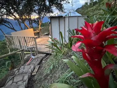 a red flower in front of a wooden walkway at Glamping in Titiribi in Titiribí