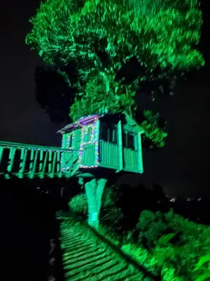 a tree house with green lights on the tracks at Glamping in Titiribi in Titiribí