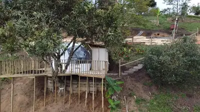 a wooden deck with a tree in a garden at Bed and bath at Villacarolina in Titiribí