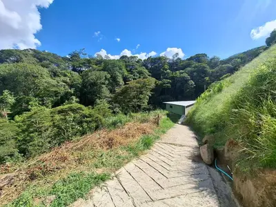 a path on the side of a hill with trees at Cabaña sol wifi jacuzzi charcos parking in Barbosa