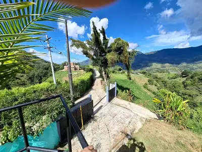 a view from the balcony of a house with a palm tree at Cabaña sol wifi jacuzzi charcos parking in Barbosa