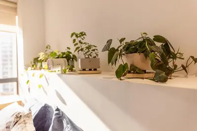 a row of potted plants sitting on a shelf at Central, Modern Apartment in Envigado in Envigado