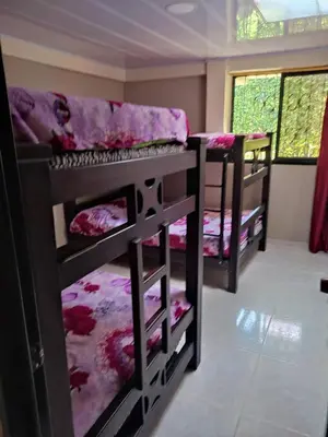 two sets of bunk beds in a room at El descanso perfecto in Palestina