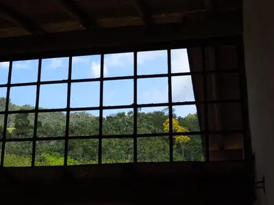 a window with a view of a tree at Jardín Utopía in Jardin