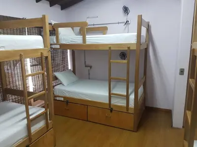 a room with two bunk beds in a room at Purple Monkey Hostel in Medellín