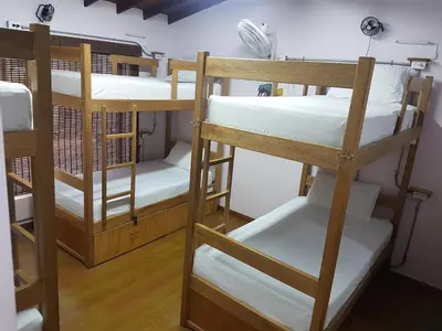 a group of bunk beds in a room at Purple Monkey Hostel in Medellín
