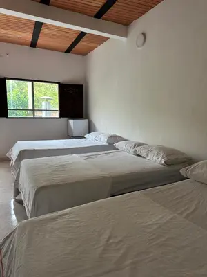 a room with three beds and a window at hotel bocas del cauca in Tarso