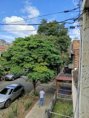 a man walking down a street next to a tree at Casa Manila Medellin in Medellín