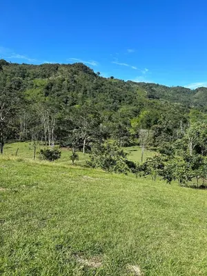 a field of grass with a mountain in the background at Cabaña en San Rafael Cerca de Ríos y Naturaleza in San Rafael