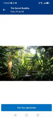 a screenshot of the search explorer in a website at Artsy lush villa with jungle garden in the city in La Estrella
