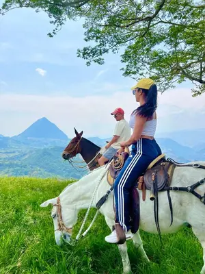 a woman sitting on a horse in a field at Outstanding FarmHouse jacuzzi & pool near Medellin in Venecia