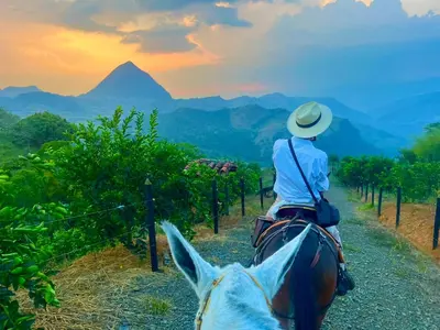 a person riding a horse down a road looking at the mountains at Outstanding FarmHouse jacuzzi & pool near Medellin in Venecia