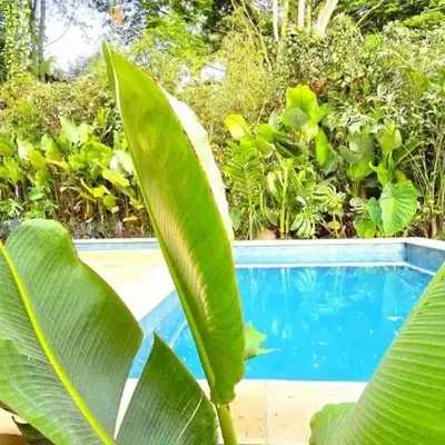 Macondo House