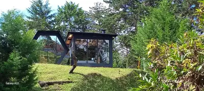 a glass house in the middle of a garden at Cabañas Bosque Verde in Piedra El Marcial