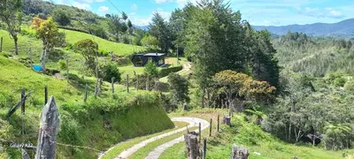 a winding road on a green hill with trees at Cabañas Bosque Verde in Piedra El Marcial