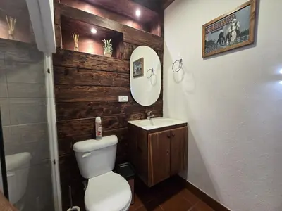 a bathroom with a toilet and a sink and a mirror at Luxurious country cabin, BBQ, Jacuzzi, TV, WiFi in Marinilla