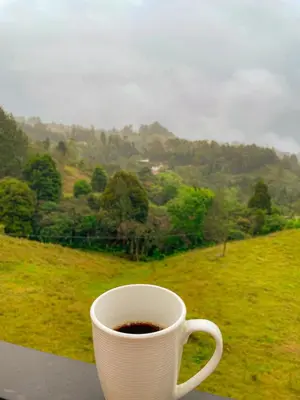a cup of coffee sitting on a table with a view at Apartamento en Guarne-Antioquia in Guarne