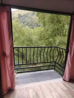 a room with a window with a view of a forest at Squirrel and bird watching in Fresno