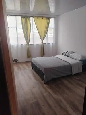 a bedroom with a bed and a window with curtains at Squirrel and bird watching in Fresno