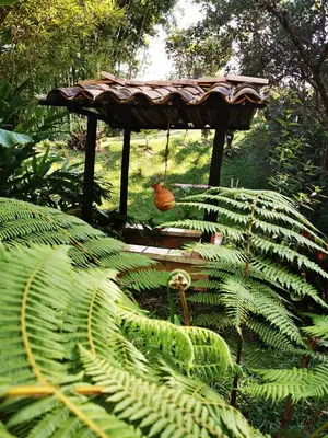 a garden with a pergola and large green plants at Hotel Marrokos Aeropuerto José María Córdova in Rionegro