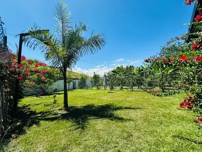 a palm tree in a field of grass with flowers at Hotel Paraiso Cañaveral in Santa Fe de Antioquia