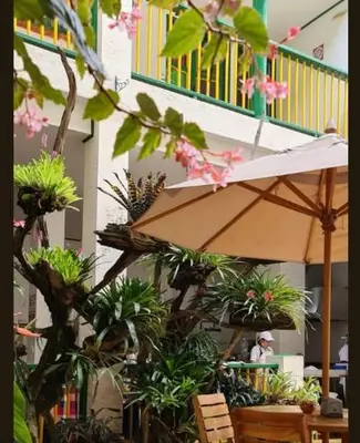 an umbrella and chairs and plants in front of a building at Hotel Vegas del Rio in Támesis