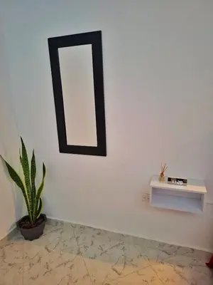a mirror on a wall with a shelf and a plant at OSIMiRI CUERVOS in San Rafael