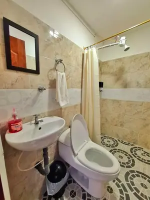 a bathroom with a toilet and a sink at OSIMiRI CUERVOS in San Rafael