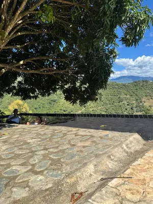 a person sitting on a stone patio with a tree at Finca, piscina y sin limite de sonido en Sopetran in Sopetran
