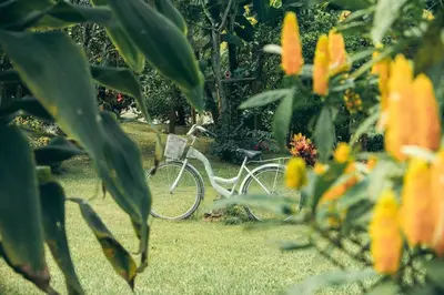 a bike parked in the grass next to some flowers at Don Café - Luxury and confort in Manizales