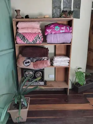 a book shelf filled with towels and a plant at Casa Rosa de los Vientos in oak forest in Medellín