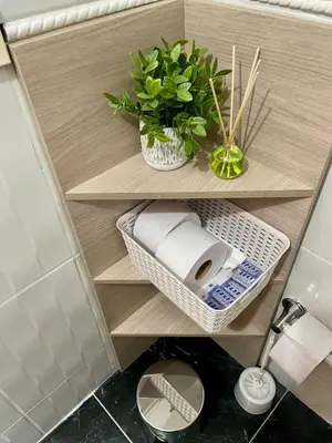 a shelf in a bathroom with a toilet and a plant at laureles zona turistica estadio cerca poblado aire acondicionado in Medellín
