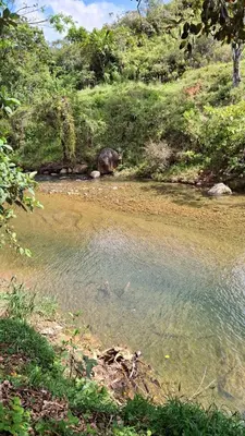 a body of water next to a hill with trees at Hotel Pekin in San Carlos