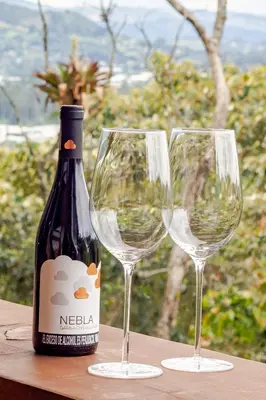 a bottle of wine and two wine glasses on a table at Cabaña Del Ermitaño entre los árboles del bosque de Efímero la Ceja in La Ceja