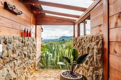 a house with a plant in a room with a window at Cabaña Del Ermitaño entre los árboles del bosque de Efímero la Ceja in La Ceja