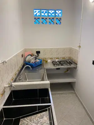 a small kitchen with a sink and a stove at Apartmento a una cuadra del aprque principal in San Rafael