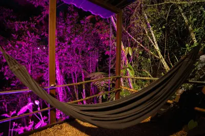a hammock in a room with purple lights at Roots Eco House in Guatapé