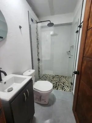 a bathroom with a shower and a toilet and a sink at Apartment in Tamesis in Támesis
