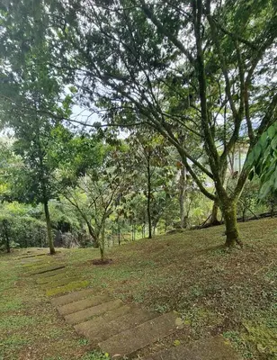 a stone path in a park with trees at Next to natural reserve, amazing views! in La Estrella